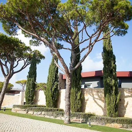 Villa Miradouro House *